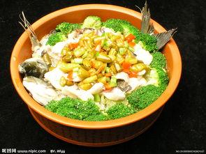 珍鱼图片,探寻水族世界的瑰宝