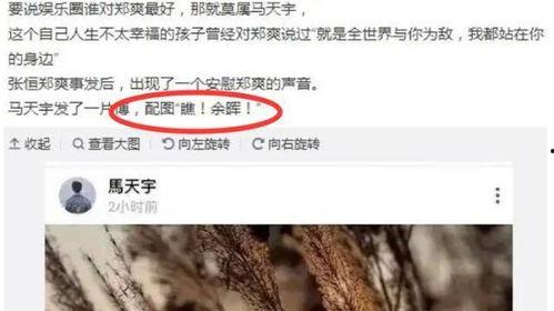 娱乐圈谁帮郑爽说话,谁为郑爽发声？