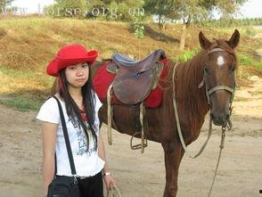 骑马花絮,骑马花絮集锦