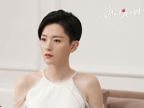 石安妮个人资料年龄,岁月如歌，青春依旧的璀璨星辉